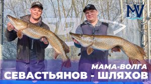 МАМА-ВОЛГА | СЕВАСТЬЯНОВ - ШЛЯХОВ