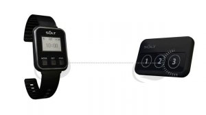 3D моделирование 3д Анимация SOLT