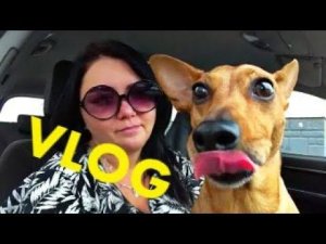 ВЛОГ НЕ ХОЧУ УМЕРЕТЬ В 40 ЛЕТ * ГДЕ АЛЬМА * РАЗНОС КОММЕНТАРИЕВ