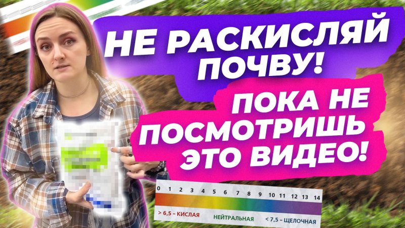 А НАДО ЛИ РАСКИСЛЯТЬ ПОЧВУ