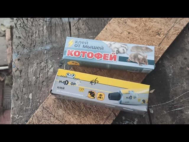 Как поймать мышей и крыс на клей. Какой клей лучше.