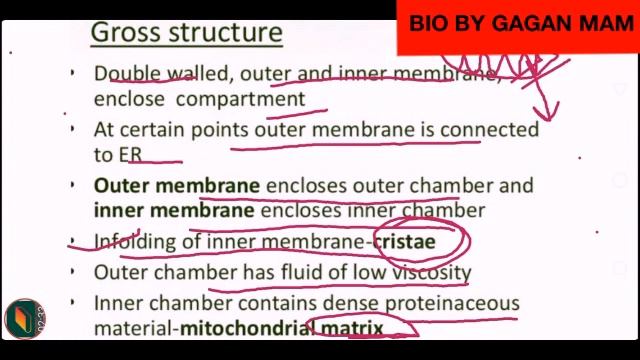 CLASS - 11CBSE/RBSE 2020 Chapter-8 CELL:THE UNIT OF LIFE PART-8#NCERT #biologybyGaganmam смотреть онлайн