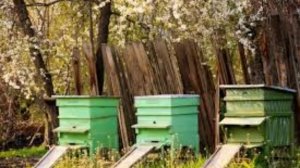 28 апреля - Пудов день. Народные приметы и традиции