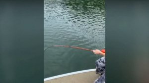 [ ИСПУГИ ЛЮДЕЙ.  Чего боишься ты? #3 / Испуги / Лучшие приколы]