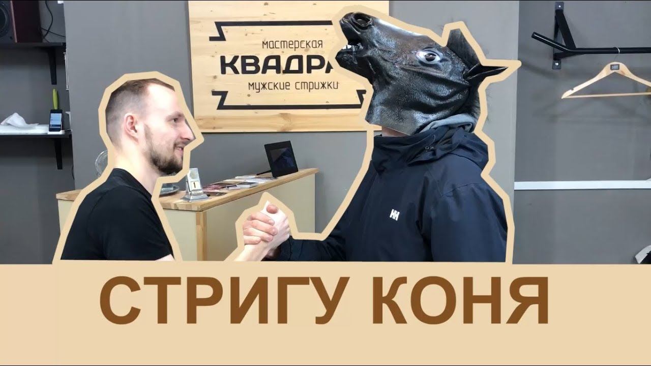 КОНЬ В БАРБЕРШОПЕ смотреть онлайн