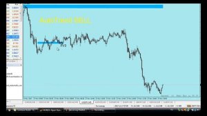 Точные индикаторы форекс