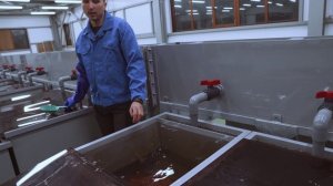 SGFilm№4 Фильм Лососевый рыбзавод