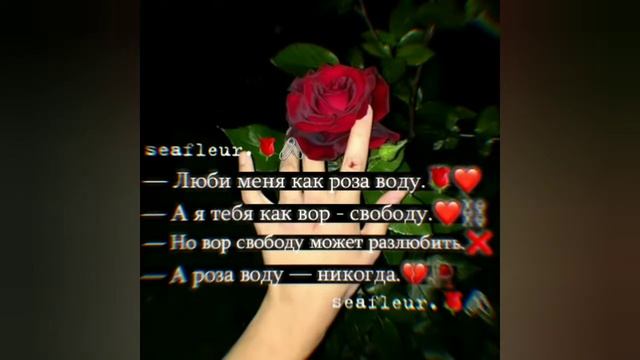 🔥Подборка лучших цитат🔥Смешные,грустные крутые цитаты✌