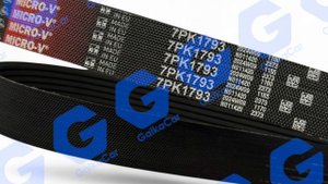 Приводной ремень Дастер, Каптур, Террано Gates 7PK1793