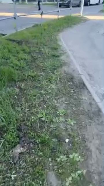 ‼️😱В Балашихе очень экологично ремонтируют асфальт — заделывают ямы куском газона‼️😱