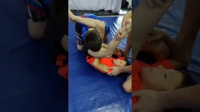 День грепплинга