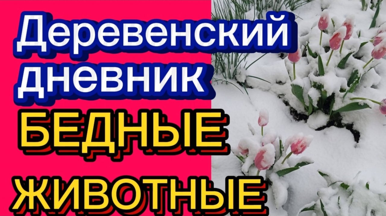 Деревенский дневник. "Горе-фермер".