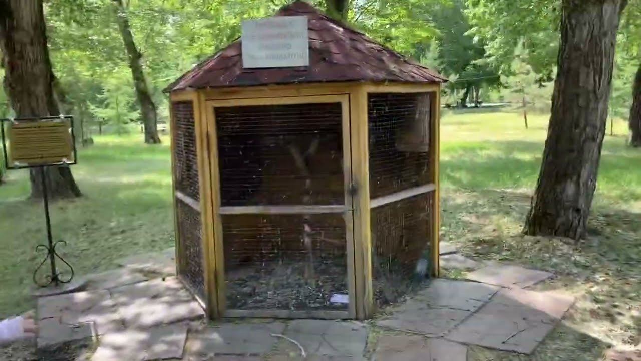 Карачи 2день/покупки ФИКСПРАЙС/кроссовки для бега и сумка/покупки для кухни/пилинг носочки Корея смотреть онлайн