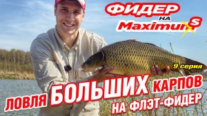 Фидер на Максимум! Серия 9. Ловля больших карпов на флэт-фидер