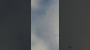 НИКОЛАЕВСКИЕ ГОЛУБИ """ Г...САЛЬСК