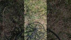 Тест  импульсного прибора Омикрон Пи с катухой Паук.