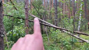 Шалаши маркеры снежного человека. Владимирская область 20.07.24. Появился третий шалаш йети