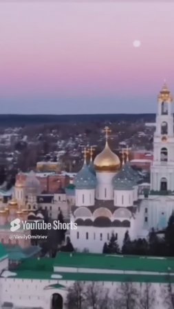 Сергей Есенин Гой ты,  Русь, моя родная стихи читает В Дмитриев #есенин #любовь #родина #shorts