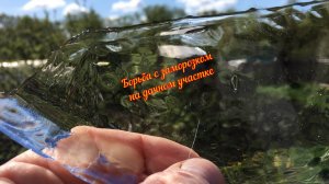 Борьба с заморозком за будущий урожай.