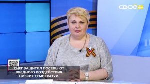 Заморозки в марте не сказались на состоянии озимых культур на Ставрополье