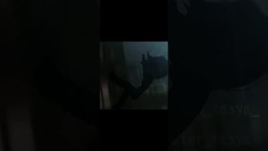 Тася 13 карт"