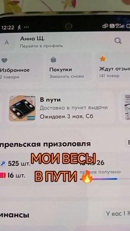 весы мои.mp4