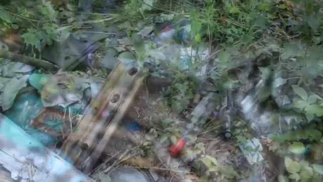 ЭКОЛОГИЧЕСКИЙ ПАТРУЛЬ смотреть онлайн