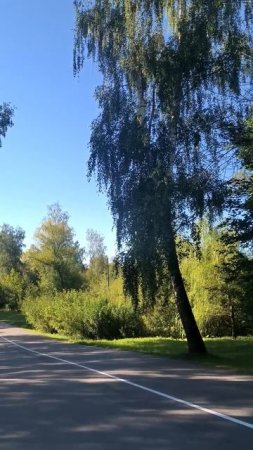 На велодорожке в парке