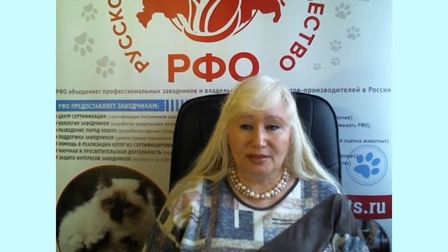Шесть дней праздника фелинологии.