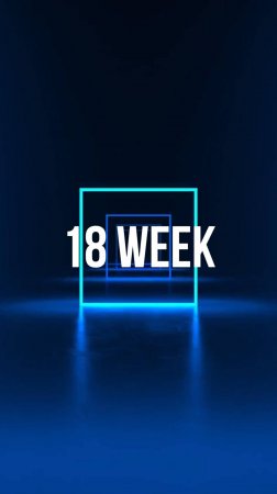 18 week/ 25