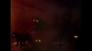 Звездолом, Бич, Звездоцап (Коты-Воители)-Animals