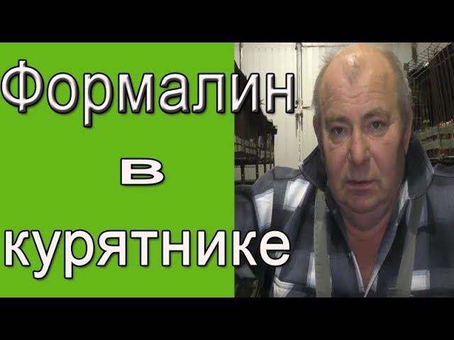 Формалин  - дезинфекция курятника. Чем обработать курятник?