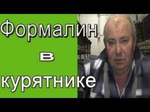 Формалин - дезинфекция курятника. Чем обработать курятник?