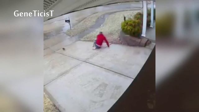 ТЕСТ НА ПСИХИКУ, КТО ЗАСМЕЁТСЯ ИЛИ УЛЫБНЁТСЯ - ПРОИГРАЛ. ЛУЧШИЕ ПРИКОЛЫ 2019 #14 (ЗАРЖЁШЬ) смотреть онлайн