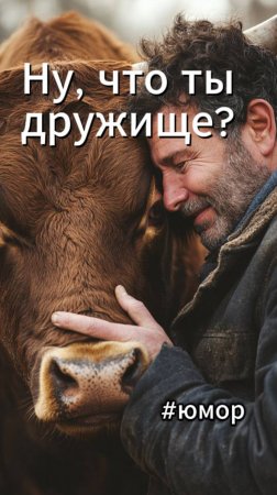 #юмор Купил фермер молодого бычка