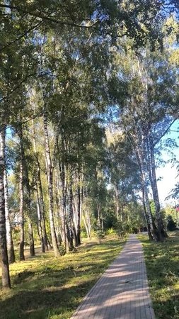 По дорожке в парке