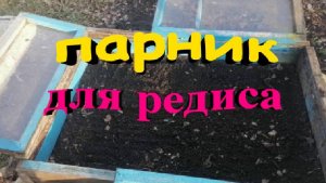Подготовка парника для посадки редиса