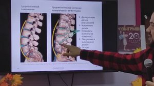 Кровать-массажер BIOKERA Pro N7 часть2