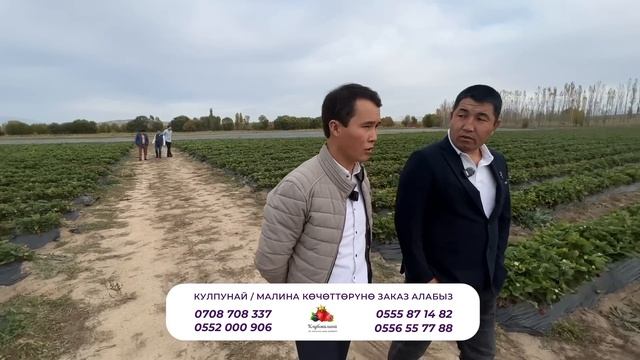 РУБЛЬ ТҮШҮП ЖАТКАНДА ЭМНЕ КЫЛЫШЫБЫЗ КЕРЕК? смотреть онлайн