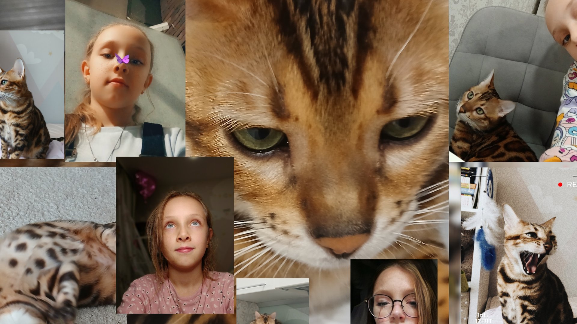 Мой выходной смотреть онлайн