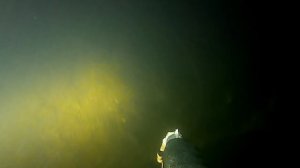 Сафари на Увильдах