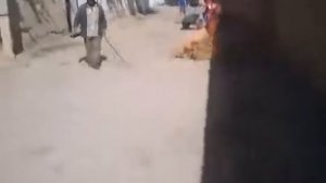 Таджики приколы