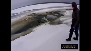 автоприколы