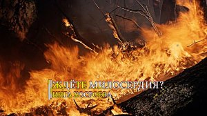 ЖДЁТЕ МИЛОСЕРДИЯ...