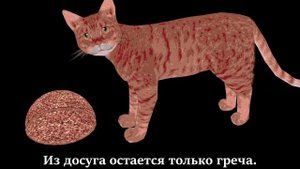 Выйду на балкон я с котом // пародия на песню "Любэ" "Конь"