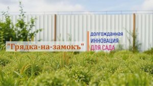 Промо ролик