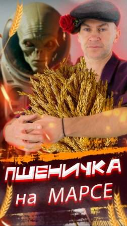 ПШЕНИЧКА на МАРСЕ! Пашня и урожай — символы труда, терпения и благодарности. ЧАСТЬ 1
