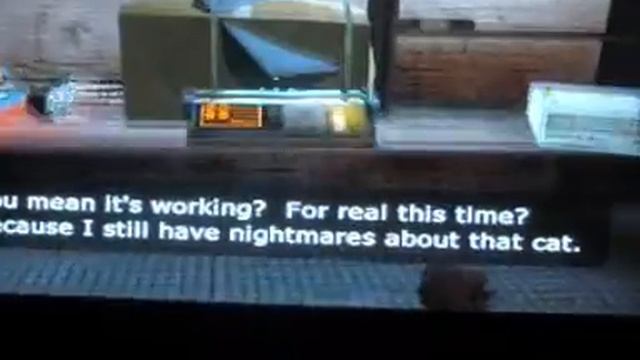 Half-Life 2 Achievements: What Cat?
