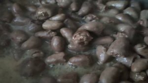 Тушёные куриные сердечки в сметане