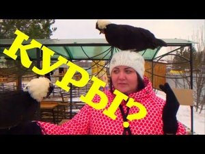 ВЛОГ  КУПИЛИ КУХНЮ * КУРИЦА НА ГОЛОВЕ * КОНТАКТНЫЙ ЗООПАРК